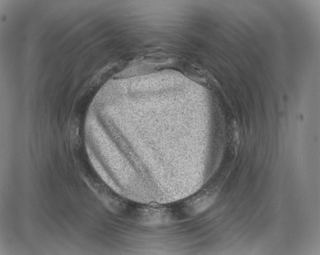 X0000080720615200701051036