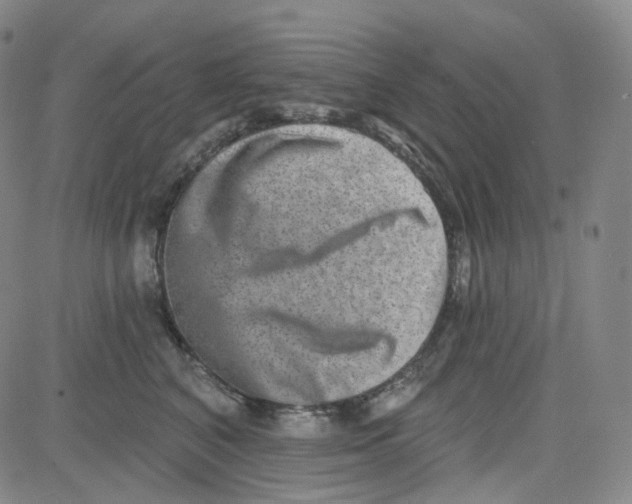 X0000080720616200701051036