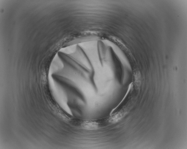 X0000080720617200701051036