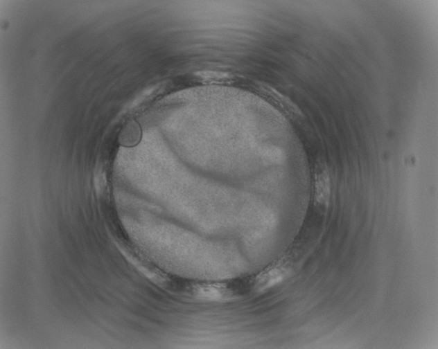 X0000080720618200701051036