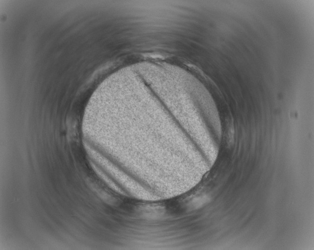 X0000080720619200701051036