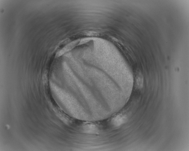 X0000080720620200701051036