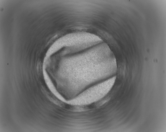 X0000080720623200701051036