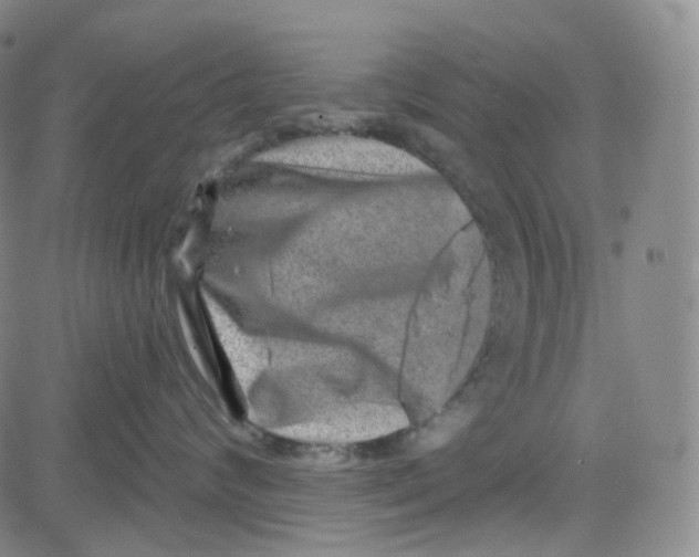 X0000080720624200701051036