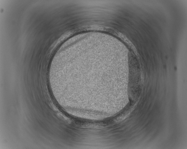 X0000080720625200701051035