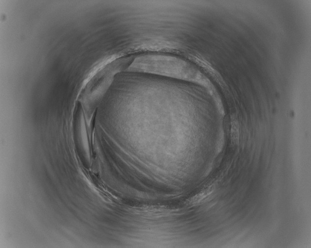 X0000080720626200701051035