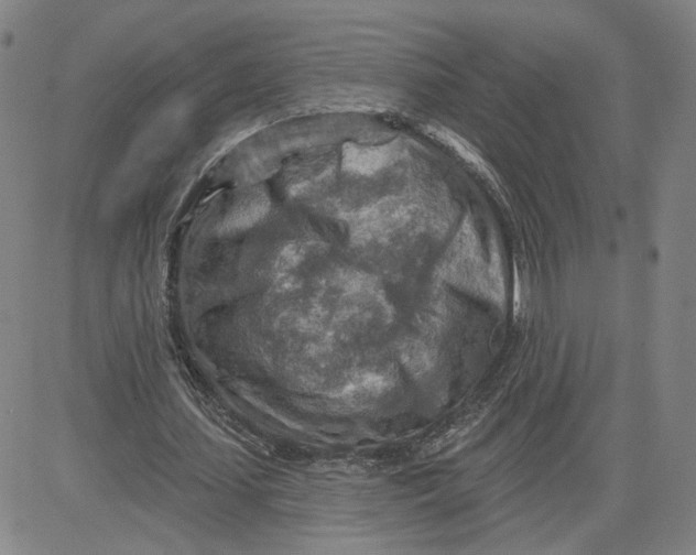 X0000080720627200701051035