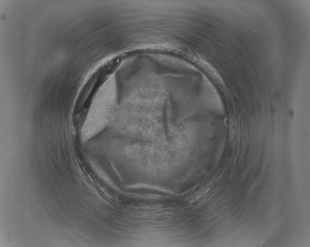 X0000080720628200701051035