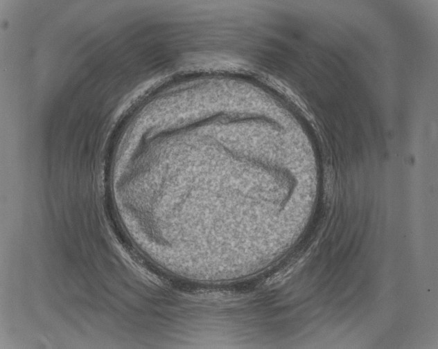 X0000080720629200701051035