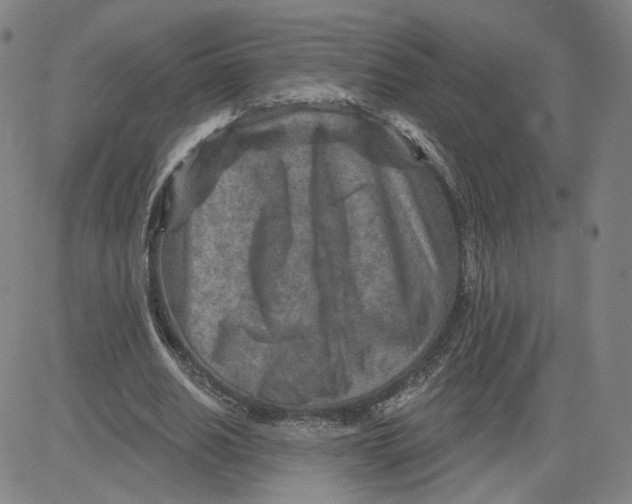 X0000080720630200701051035