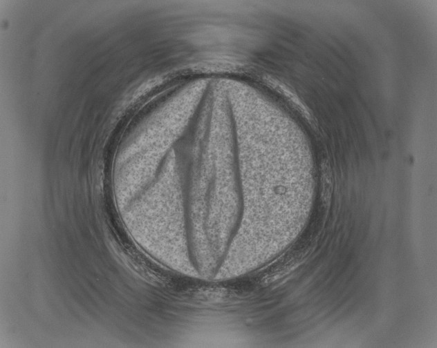 X0000080720631200701051035