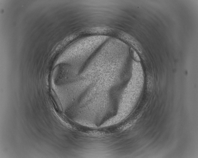 X0000080720633200701051035