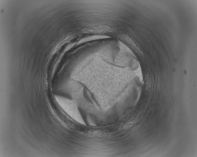 X0000080720634200701051035