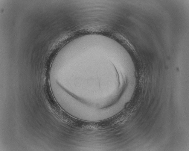 X0000080720635200701051035