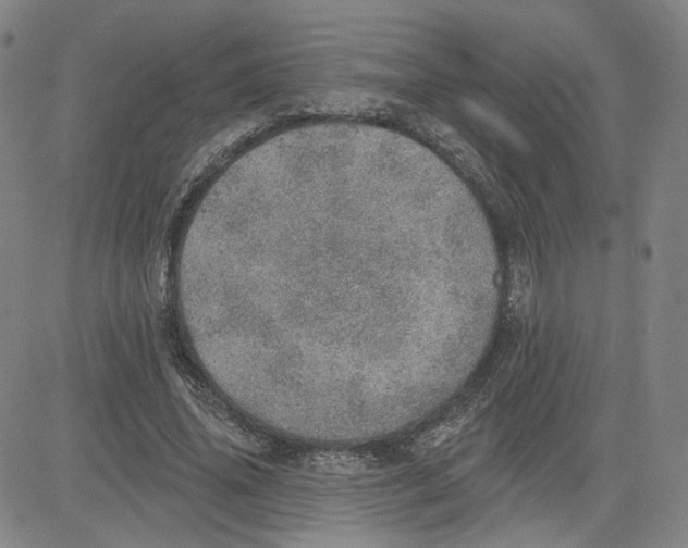 X0000080720636200701051035