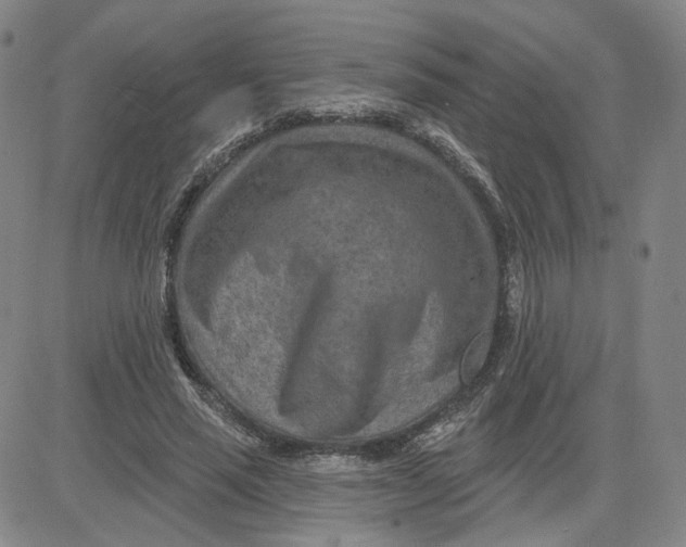 X0000080720637200701051035