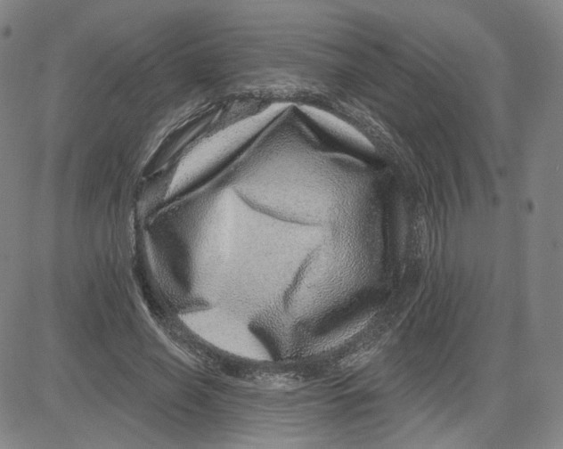 X0000080720638200701051035