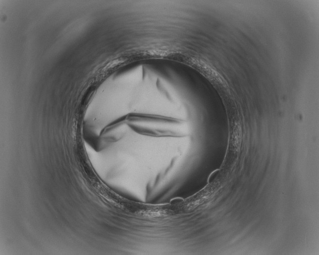 X0000080720639200701051035