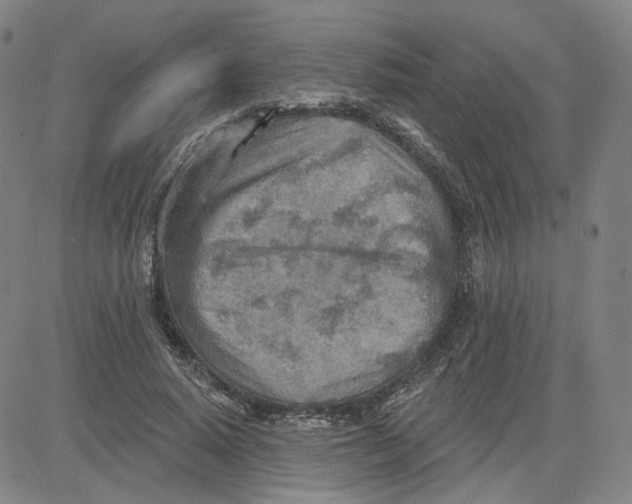 X0000080720640200701051035