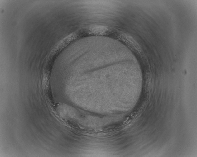 X0000080720641200701051035