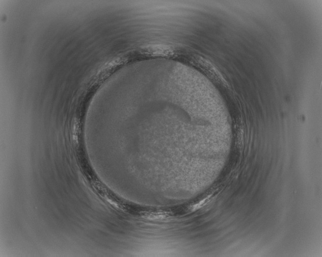 X0000080720643200701051035