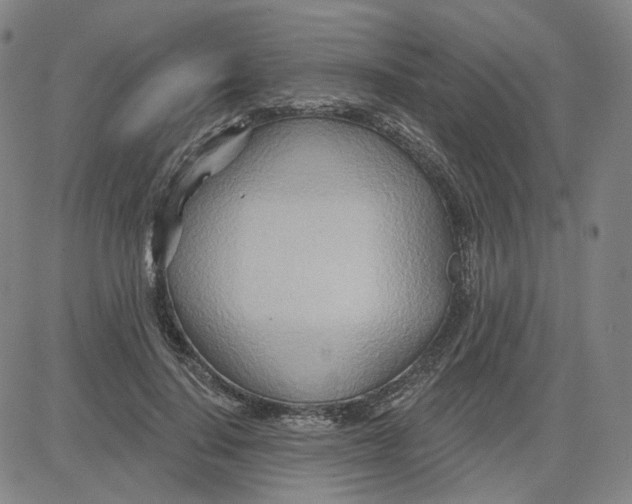 X0000080720644200701051035