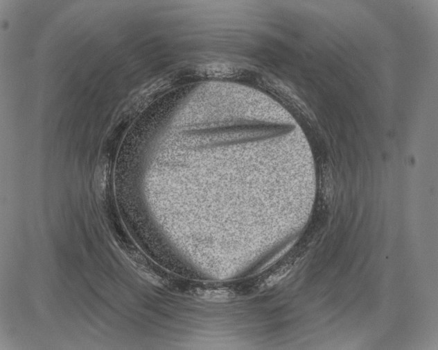 X0000080720645200701051035