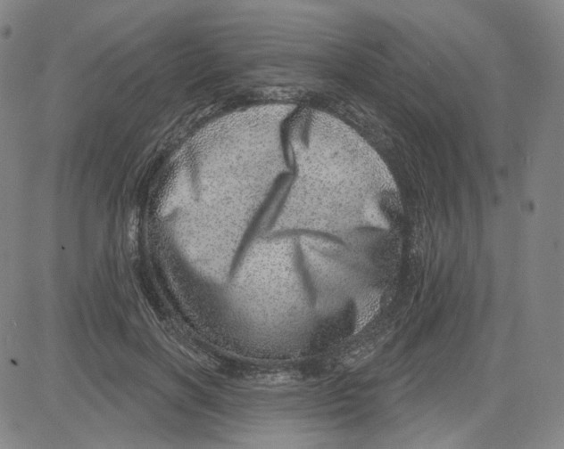 X0000080720646200701051035