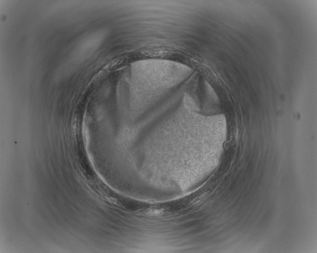 X0000080720647200701051035