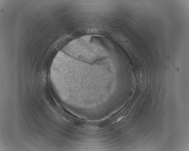 X0000080720648200701051035