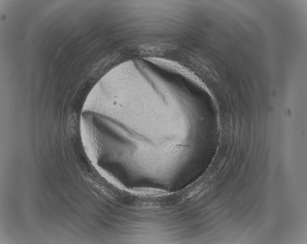 X0000080720649200701051035