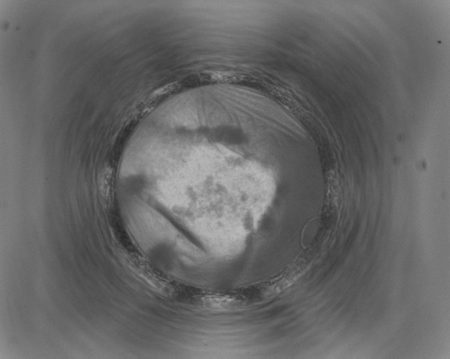 X0000080720650200701051035