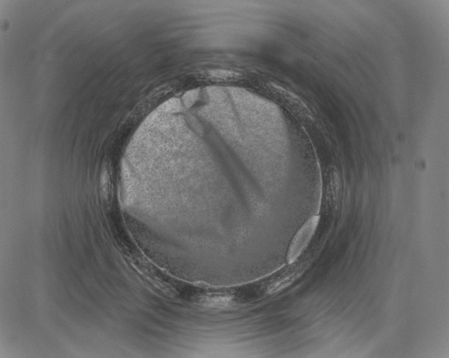 X0000080720651200701051035