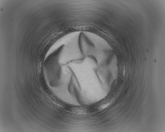 X0000080720652200701051035