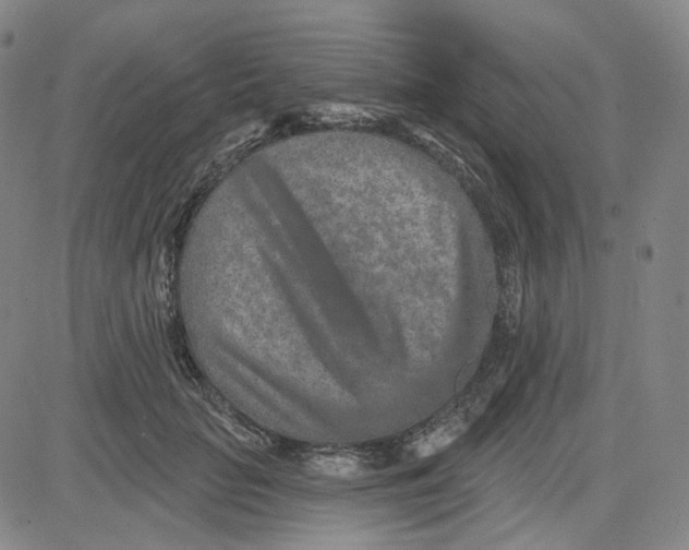 X0000080720653200701051035