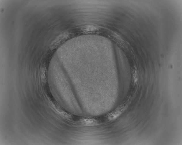 X0000080720654200701051035