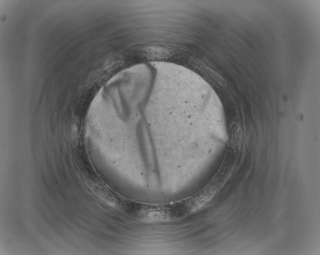 X0000080720655200701051035