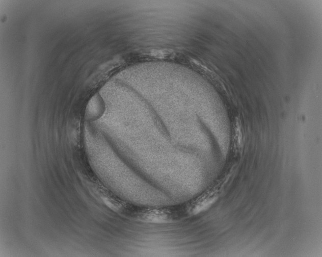 X0000080720656200701051035