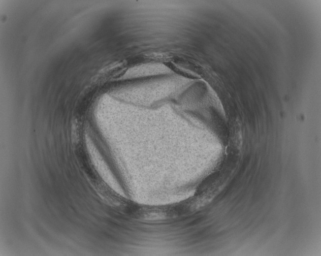 X0000080720658200701051035