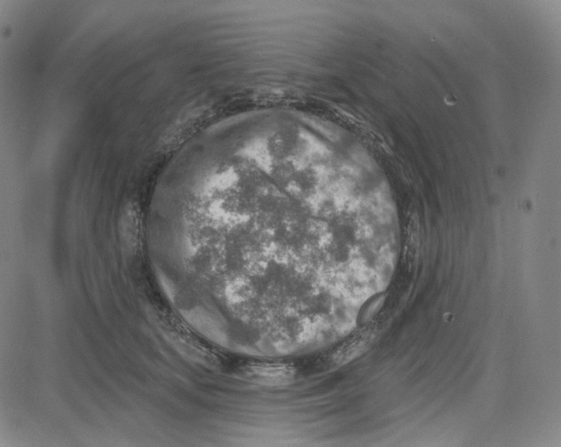 X0000080720659200701051035