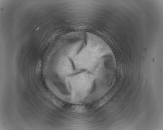 X0000080720660200701051035