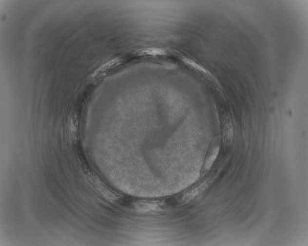 X0000080720661200701051035