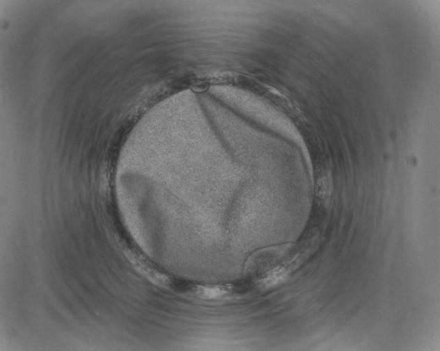 X0000080720662200701051035