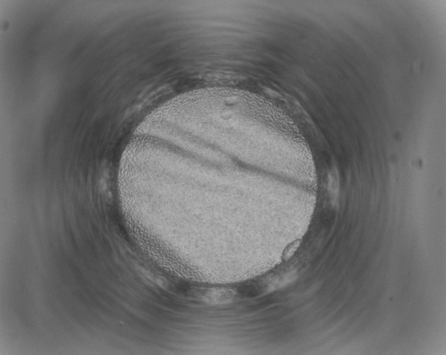 X0000080720663200701051035