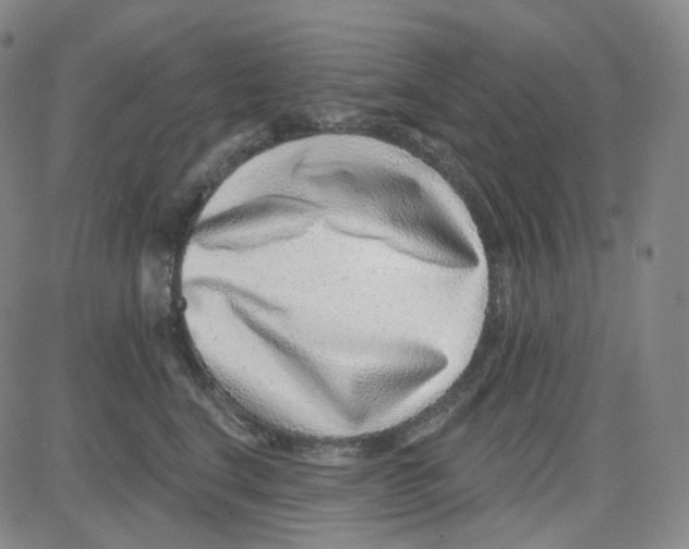 X0000080720664200701051035