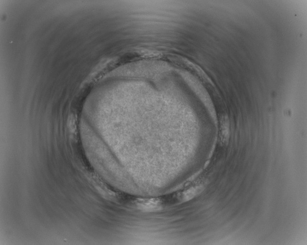 X0000080720667200701051035