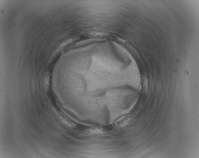 X0000080720668200701051035