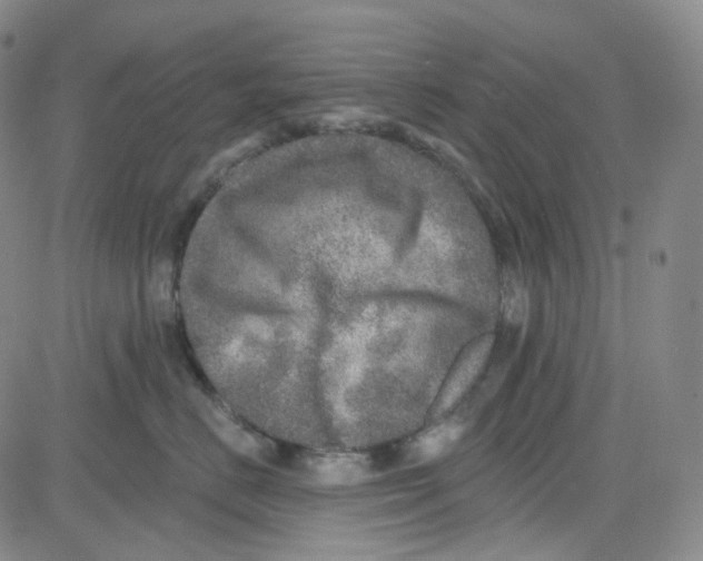 X0000080720670200701051036