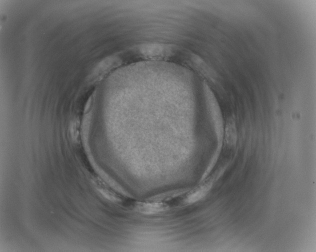 X0000080720671200701051036