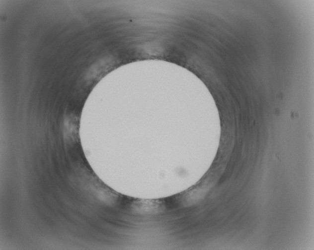 X0000080720672200701051036